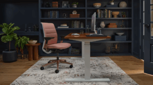 photo of steelcase think chair at a desk in an office with dark blue walls, a cream colored rug, shelves containing books and plants, and a height adjustable desk.